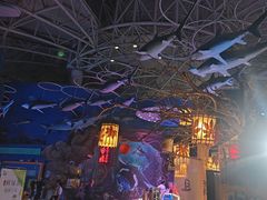 -烟台海昌鲸鲨海洋公园