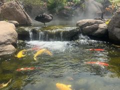 -罗红摄影艺术馆