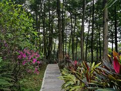 -云溪植物园
