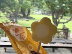 -太鲁阁公园