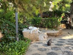 -李叔同故居纪念馆