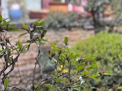 -乖乖佳花园山庄·私房菜(阿哈湖公园店)