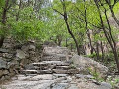 -北京鹫峰国家森林公园