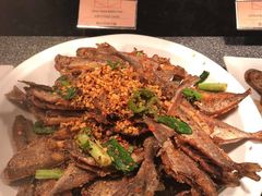 -香港港岛太平洋酒店