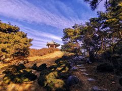 -国家植物园南园