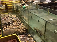 水产区-福州西湖大酒店·怡湖咖啡厅