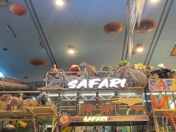 -卡通尼·Safari非洲探索乐园·生日会(金桥国际商业广场店)