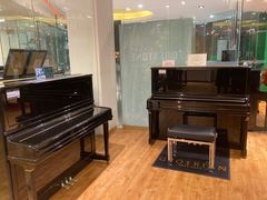 -柏斯琴行(汾阳店)