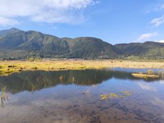 -腾冲北海湿地