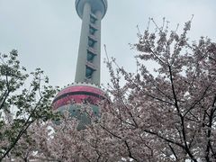 -荟廷·晶萃(陆家嘴尚悦湾店)