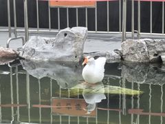 -龙华寺
