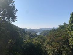 -天鹿湖森林公园