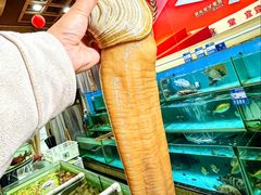 -强记海鲜·大排档(蛇口新街店)