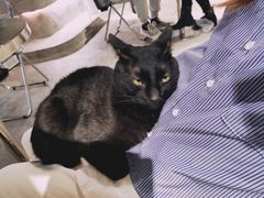 -浣熊柯尔鸭土拨鼠·电玩咖