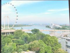 -新加坡文华东方酒店