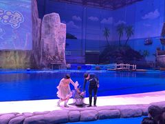 -华夏文旅海洋公园