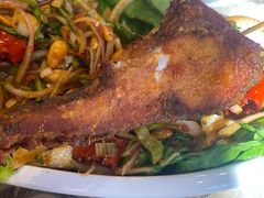 土耳其烤鱼-新疆伊宁远征餐厅