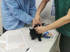 -宠颐生宠物医院·犬猫全科·皮肤科(商业街店)