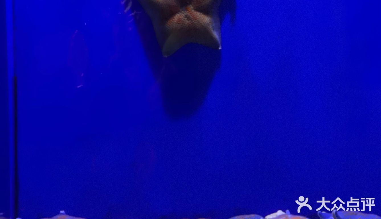超出片｜青岛海底世界🐠小长假约起来