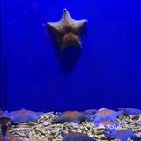 超出片｜青岛海底世界🐠小长假约起来
