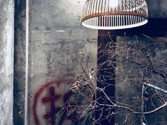 -作咖啡(养育巷店)