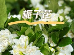 -毛氏汽水包(山海关路店)