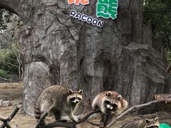 -宁波野生动物园
