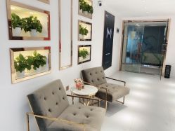 -MIVI野生眉纹绣纹眉