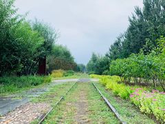 -永定河休闲森林公园