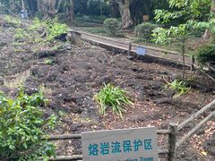 -海口火山口国家地质公园