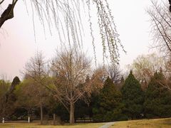 -莲花池公园