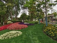 -春花秋色城市公园