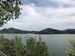 -望湖烤鱼
