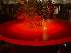 -毛辣果·酸(OHA复兴西路店)