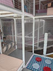 -奈尔宝·儿童乐园·亲子餐厅(华采天地店)