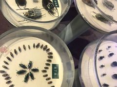 -陕西自然博物馆