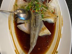 -眉州东坡(博雅店)