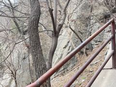 -北京鹫峰国家森林公园