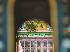 -安徽大青山野生动物世界