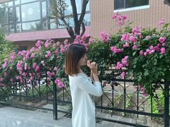 -天正河鲀·河豚亭(大连店)