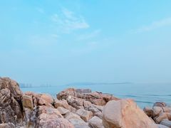 -广东惠东海龟国家级自然保护区