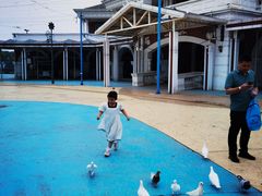 -芜湖新华联大白鲸海洋公园