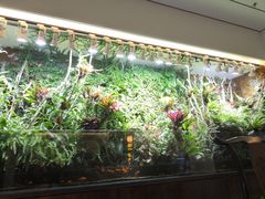 -汉仁宫·古法按摩·足道·SPA(民治店)