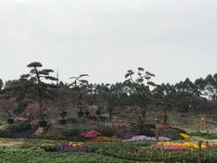 -秀丽东方