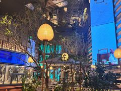 -桂满陇·海市蜃楼·黑金(国金店)