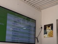 -守诺宠物医院·眼科· 特色牙科·异宠专科(虹口店)