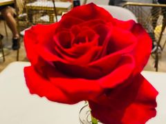 -PAUL LAFAYET 法式甜品(深圳湾万象城店)