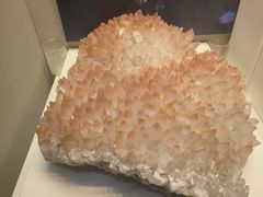 -天津自然博物馆