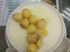 -义顺牛奶公司(新马路老店)