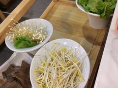 -傣妹火锅(南京东路一店)